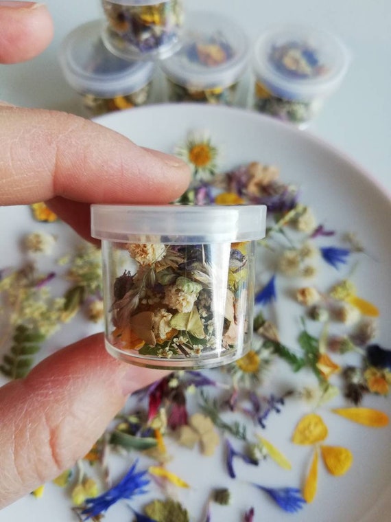 Dried Tiny Flowers for Resin, Tiny Flowers for Resin Jewelry