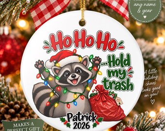 Divertente ornamento natalizio a forma di procione, ornamento personalizzato a forma di procione, regalo "Tieni la mia spazzatura", ricordo natalizio a tema animali del bosco 2026