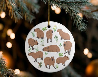 Niedliches Capybara-Andenken für Jungen- und Mädchen- oder Capybara-Liebhaber, Weihnachtsbaum-Dekor, Weihnachtsgeschenk, Tierliebhaber, Cappybara-Strumpf Stuffer