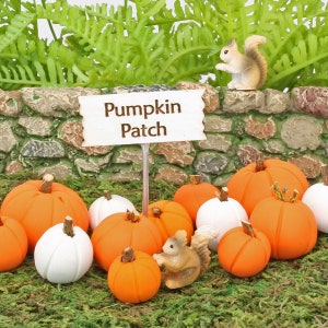 Pumpafältskollektionen, Miniatyrpumpor, Skylt och Ekorre, Hösttillbehör till Feträdgården, The Fairy Garden UK