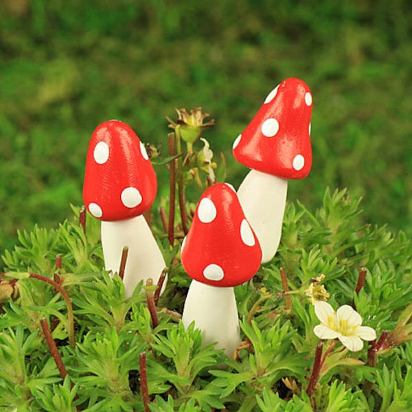 Set of 3 Woodland Mushrooms, Fairy Garden Mushrooms, Fairy Toadstools Fairy Garden Accessory, Dolls House Miniature, The Fairy Garden