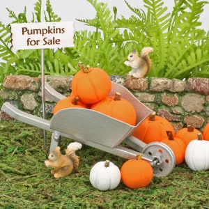 Pumpor till salu-kollektion, miniatyrpumpor, handgjorda pumpor, skylt, skottkärra och ekorre, hösttillbehör till feträdgården, The Fairy Garden UK