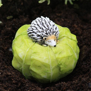 Puede incluir: Una pequeña figurita de erizo gris y blanco está durmiendo sobre una col verde. La figurita está hecha de resina y tiene un aspecto realista.
