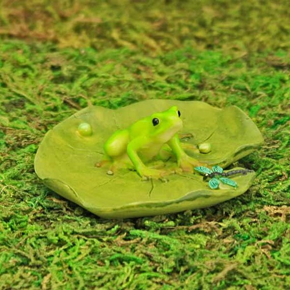 Seerosenblatt Und Frosch Fee Garten Frosch Kleine Libelle Etsy