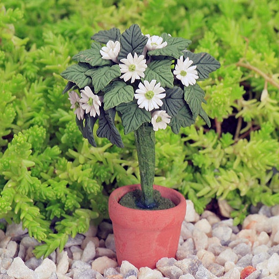 Weiße Daisy Blume in Terrakotta Topf, Miniatur Daisy Plant, Fee Garten Blume, Künstliche Blume, Miniatur Blume, The Fairy Garden UK