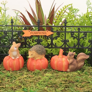 Op de afbeelding: Een miniatuur scène met een bord waarop 'Pompoenen' staat boven drie miniatuur pompoenen. Een bruin konijn zit op een pompoen, een egel zit op een pompoen en een eekhoorn zit op een pompoen.