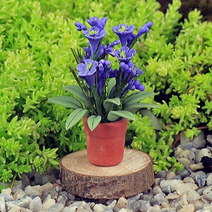 Peut inclure: Une plante miniature en pot avec des fleurs violettes et des feuilles vertes, posée sur une tranche de bois.