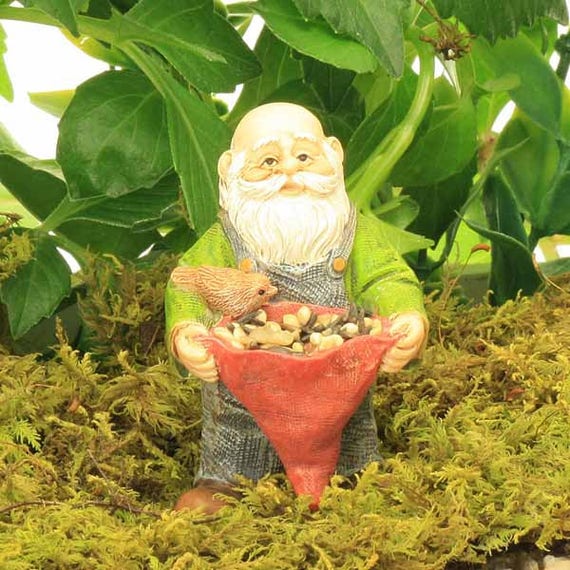 Standing Gnome Feeding The Birds Fairy Garden Figure Fairy Etsy