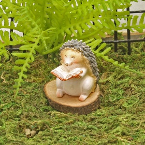 Miniature Hedgehog with Book, Reading Hedgehog, Fairy Garden Accessory, Hedgehog Figure, The Fairy Garden UK