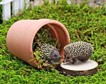 Hedgehog Friends - Miniature Terracotta Plant Pot with Pair of Hedgehogs, Whimsical Fairy Garden Accessories, Gnome Garden, Miniature Garden