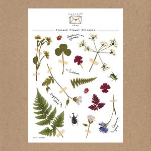 Pressed Flower Stickers