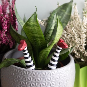 Op de afbeelding: Een grijze plantenpot met een geometrisch patroon, met een groene slangplant waar rode en zwart gestreepte benen uit steken.