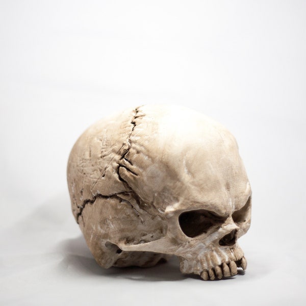 Life Sized Human Skull with Secret Compartment with Keyed Maze, gothic home decor, horror decor