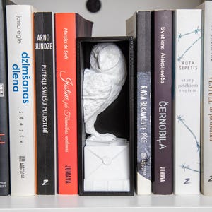Detailed Snowy Owl Bookend, Owl and Letter Book Nook, For Bookshelves, Desks, and Book Nooks