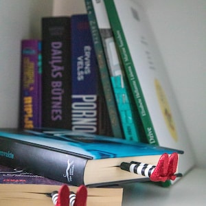 A black bookmark shaped like the Wicked Witch of the West's legs, complete with red shoes and striped stockings, sticking out from  books on a shelf.