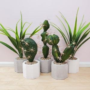 Miniature floor plants in concrete pot - 1:6 scale