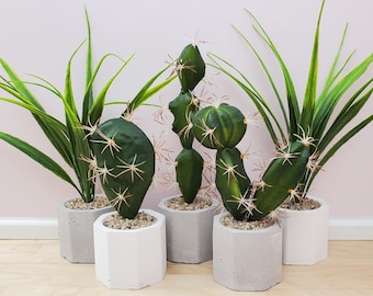 Miniature floor plants in concrete pot - 1:6 scale