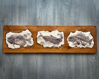 Fossil Fish Swallowing Another Fossil Fish Trophy Stone Stylized | Resin  Prehistoric Wooden Wall Decoration