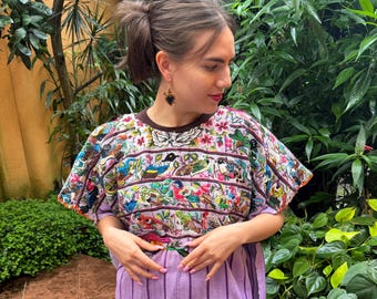 May include: A light purple tunic featuring a dark brown crew neckline and vertical stripes. The upper portion is adorned with intricate, multi-colored embroidery depicting various birds and floral patterns across the chest and short sleeves.