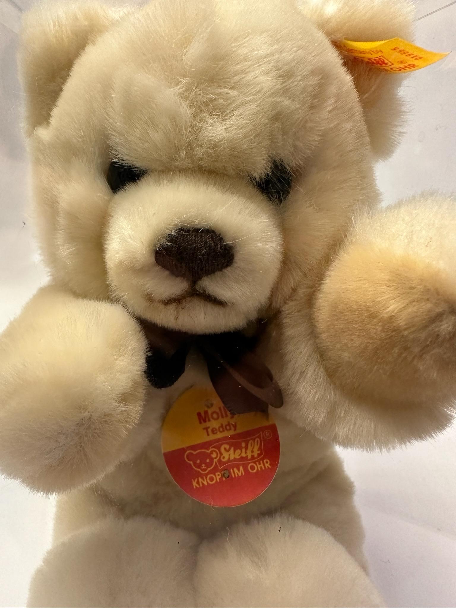 Molly Teddy Steiff Teddy Bear in Case - Germany - Etsy