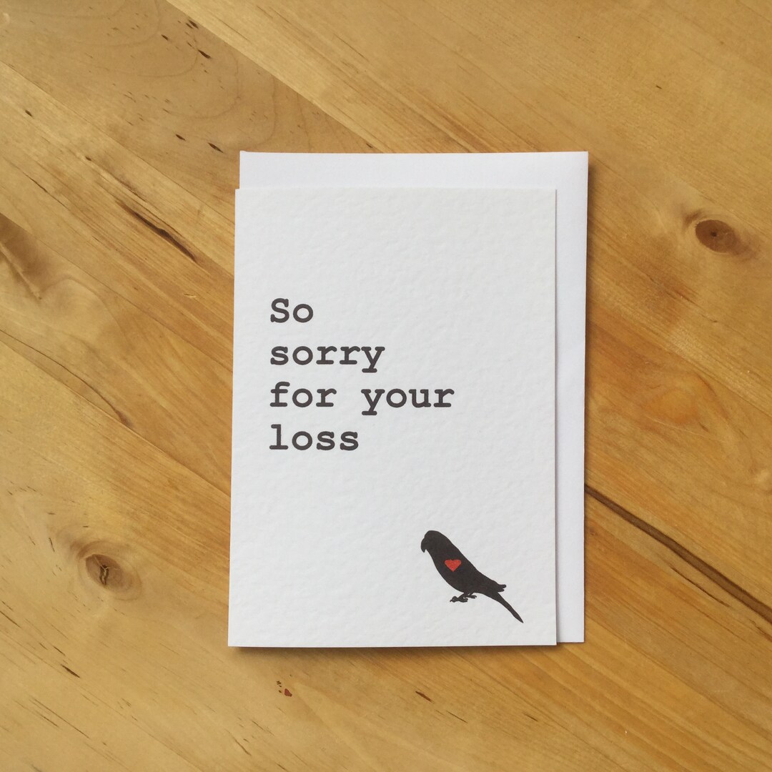 Bird Sympathy Card, Parrot Sympathy Card, Budgie Sympathy Card, Budgie