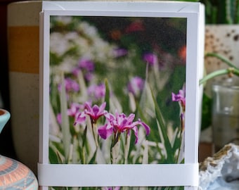 Flower Greeting Card sets - 35 mm Film Photo Cards - Nature Greeting Cards - Photo Greeting Cards - Blank Greeting Cards - Flower Photo Card
