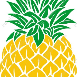 Pineapple SVG, Pineapple Monogram SVG, SVG Files, Cricut Cut Files, Silhouette Cut Files, Eps, Png,Dxf,