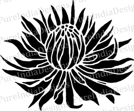 Download Protea Flower Stencil Svg Dxf Eps Stencils Flower Laser Etsy PSD Mockup Templates