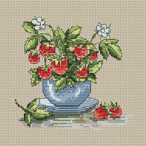 May include: A blue teacup with a saucer filled with a potted strawberry plant. The plant has red strawberries and white flowers. There are also three strawberries on the saucer.