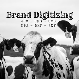 Brand Recreation Digital Files - jpg png svg eps dxf pdf - High Resolution Digital Artwork of Your Brand