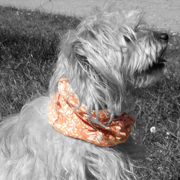 dog snood jersey infinity scarf scandana dog neck wear orange white pattern Scan1