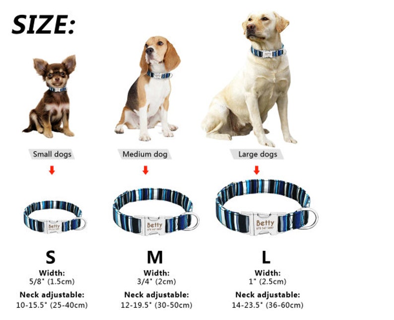 Engraved Dog Collar & Matching Leash Personalized Nylon Dog Etsy