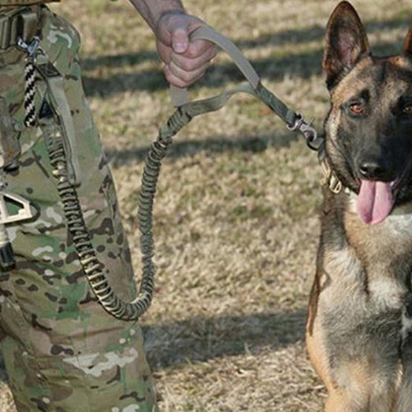 Tactical Bungee Dog Leash - 2 Handle Quick Release -K9 Tactical Leash - Dog Collar Tactical