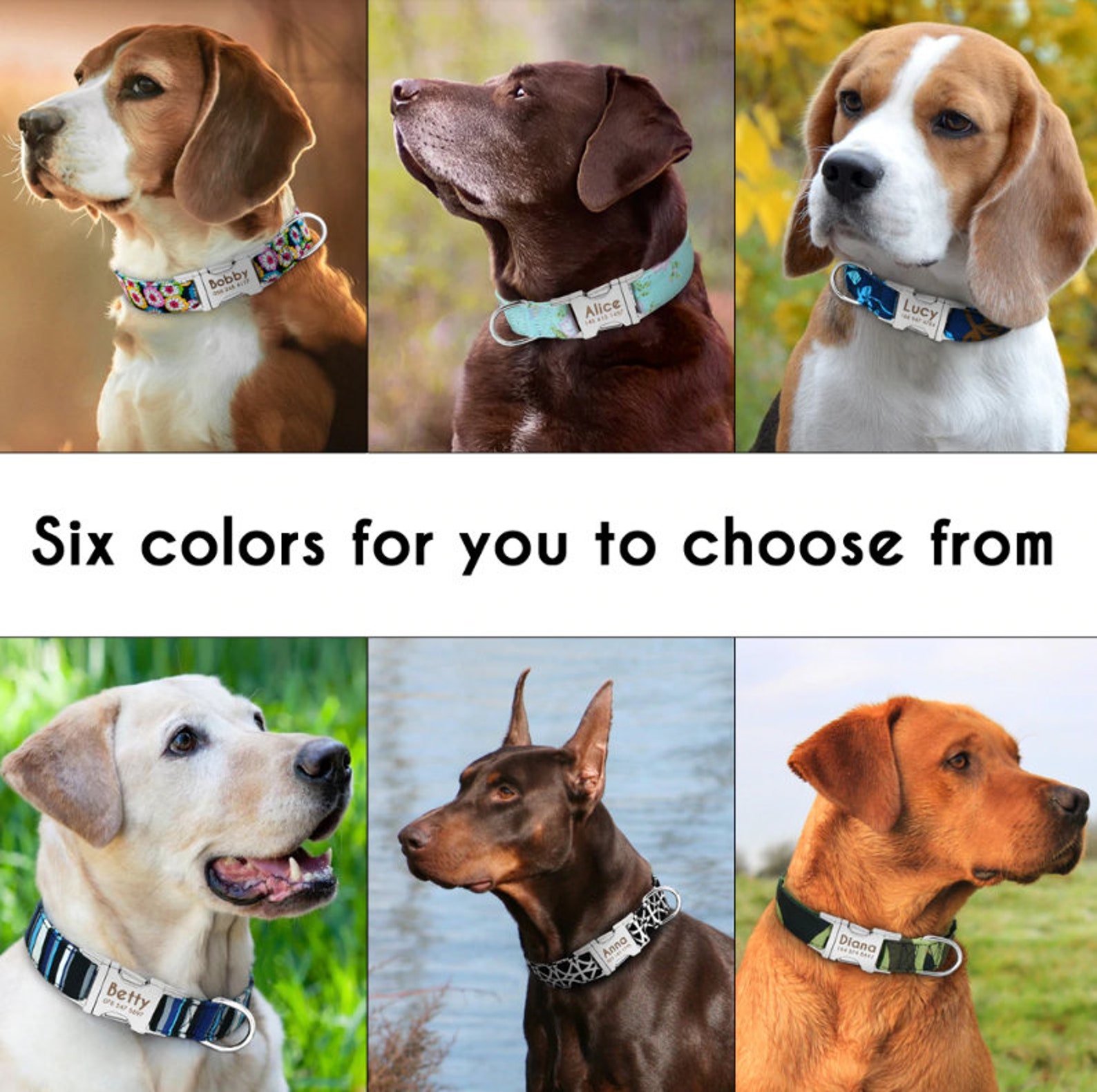 Engraved Dog Collar & Matching Leash Personalized Nylon Dog Etsy