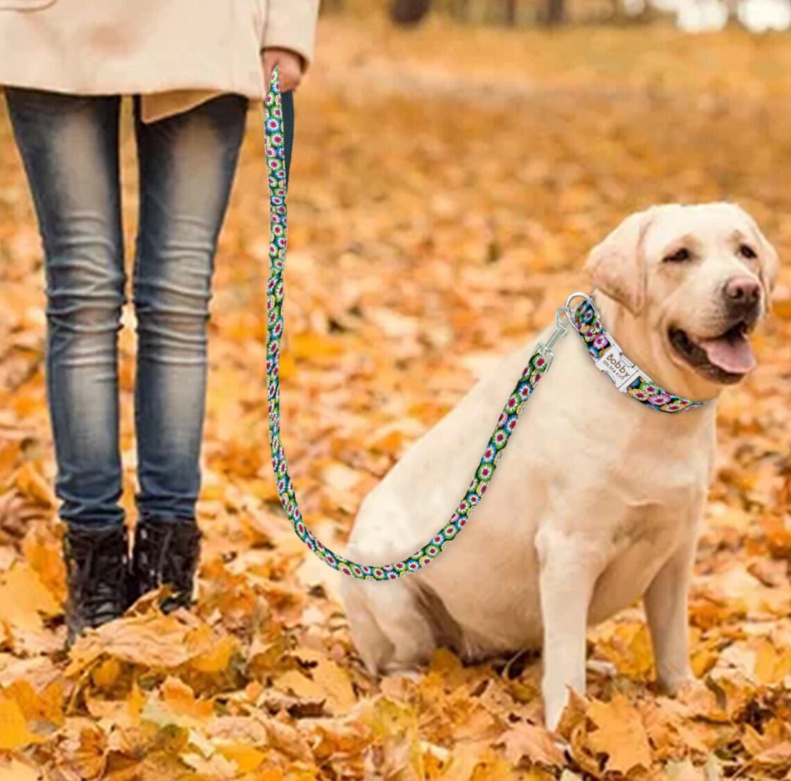 Engraved Dog Collar & Matching Leash Personalized Nylon Dog Etsy