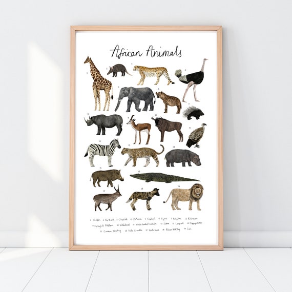 Animal Print Chart