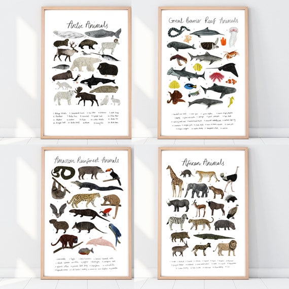Animal Print Chart
