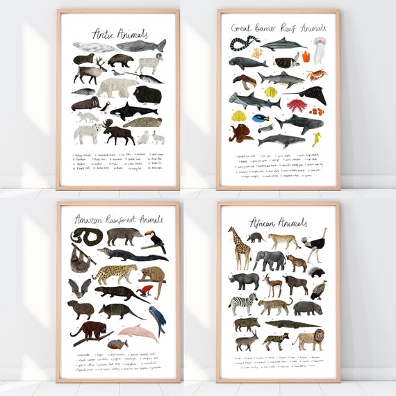 African Animals Chart