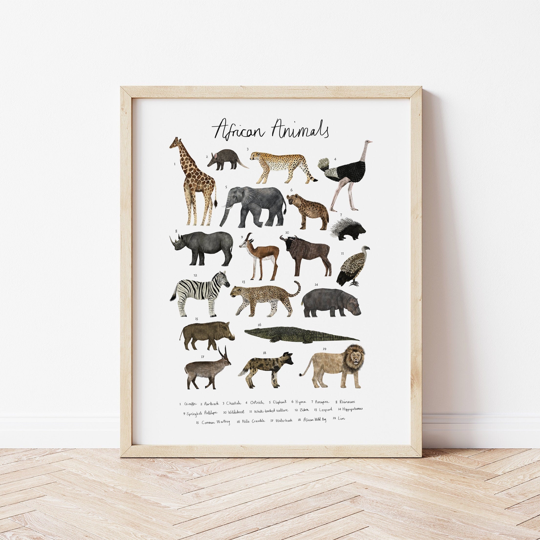 African Animals Print Animal Illustration Chart Print Home - Etsy UK African Animals Print Animal Illustration Chart Print Home - Etsy UK