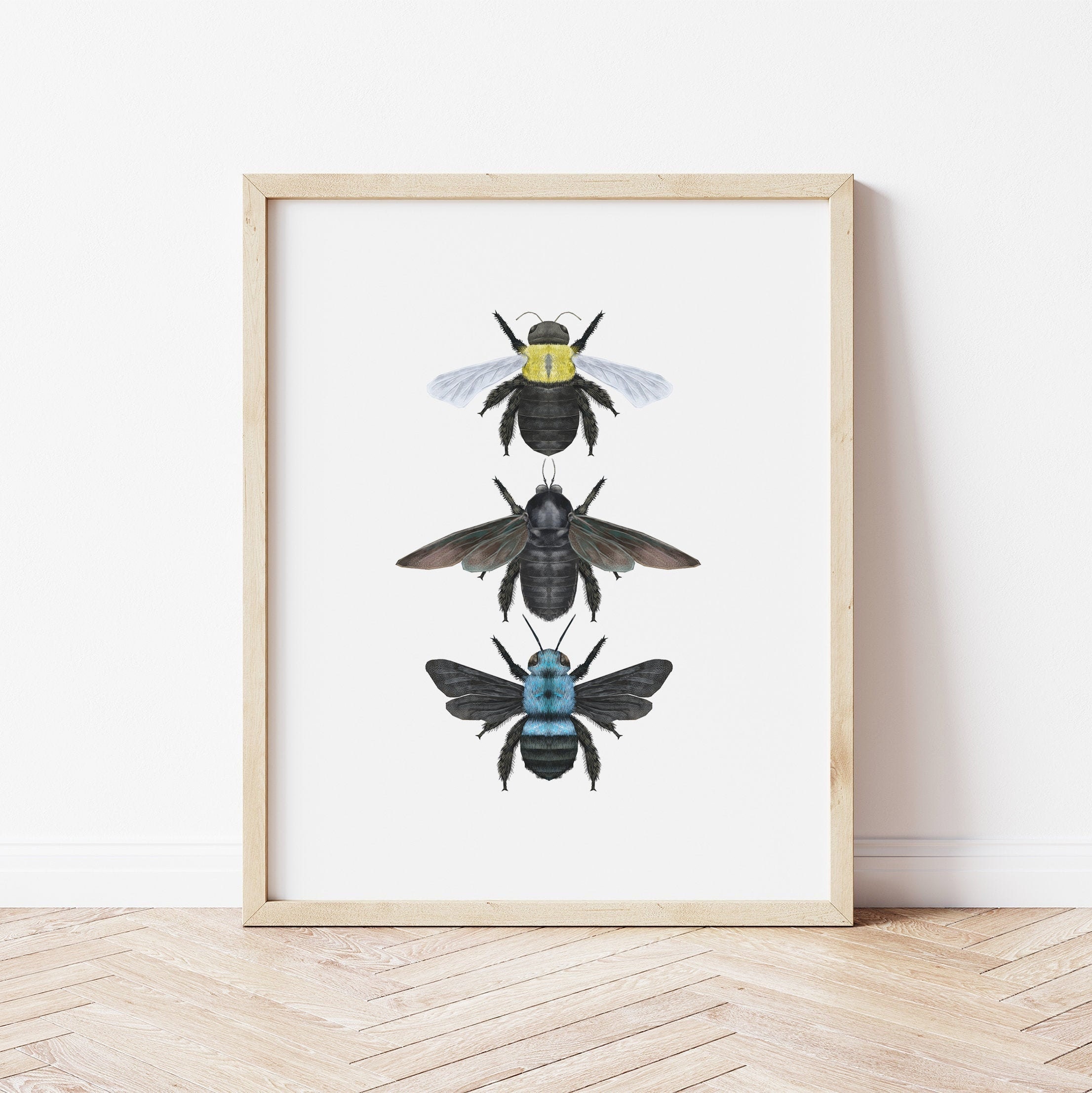 Carpenter Bees Bee Print Bee Illustration Insect Print Etsy