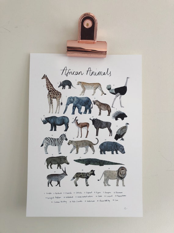 African Animals Chart