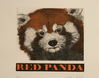 Red Panda - Etching and Aquatint with hand-etched title by D.R. Wakefield