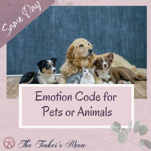 Emotion Code for Pets or Animals - Cat, Dog, Horse, Cow, Pig, Bird, Livestock, Zoo, Farm, Reptile, Fish, Mammal, Wildlife ...