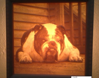 Bulldog Customized Nightlight, Family Pet Photo Nightlight, Lithopane Nightlight, 3D Printed Nightlight