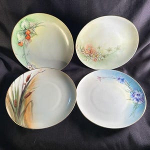 Vintage Hand-Painted Floral Ceramic Plates - Set of 4
