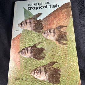 Starting Right with Tropical Fish by Robert Gannon - Vintage Aquatic Guide
