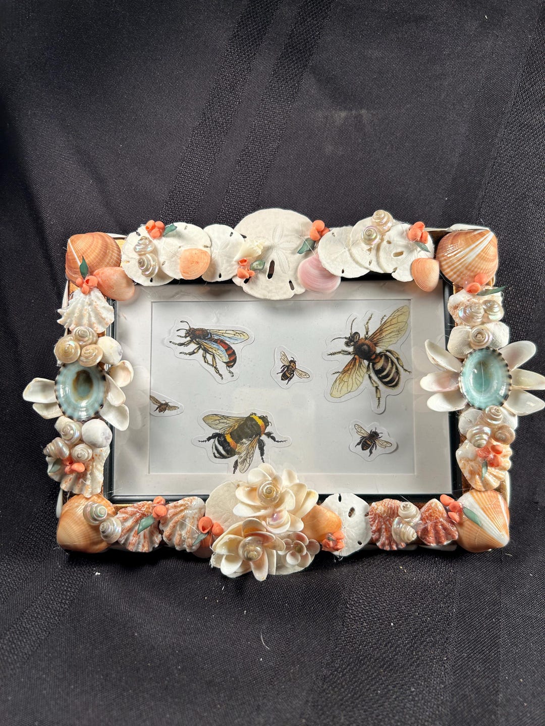 Handcrafted Seashell Picture Frame – Coastal Decor With Natural ...