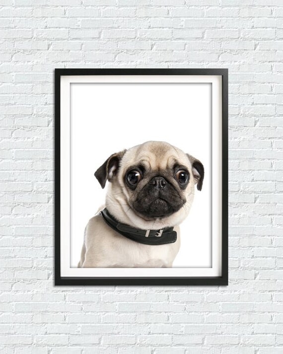 Pug Print Pug Wall Art Dog Print Nursery Decor Minimalist Etsy