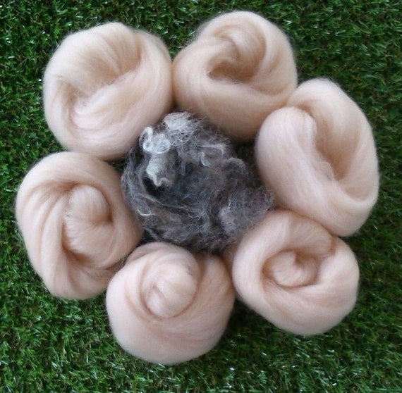 Needle Felting Pink Flesh Skin Tones/whiskers Mix 3D Etsy