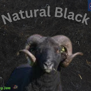 Fieltro con aguja/Velillos de lana cardada húmeda. Ideales para fieltrado 3D rápido. Elija el color y el grosor. Natural Black Undyed